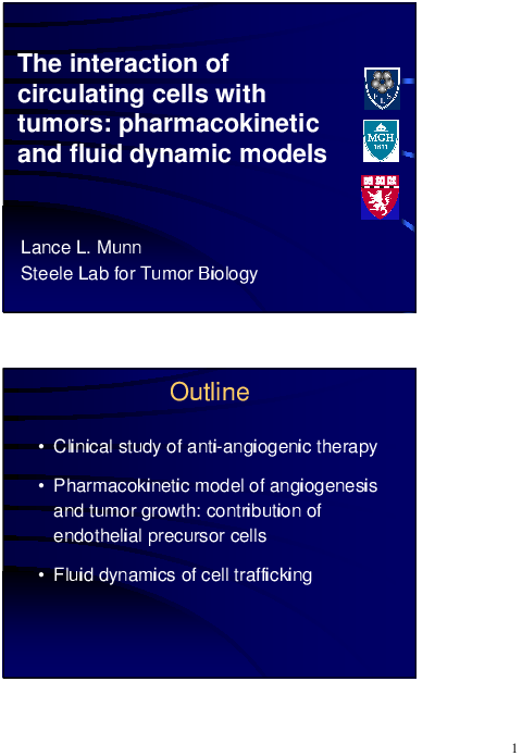 Image of Slide