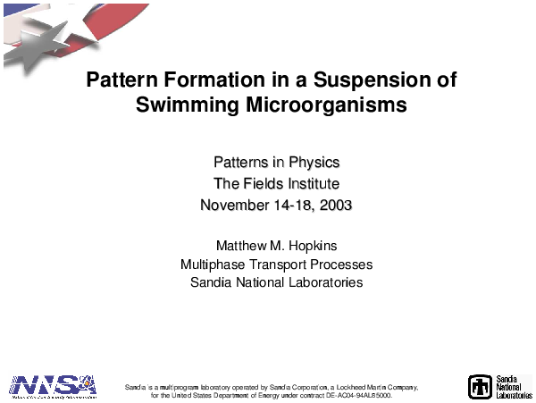 Image of Slide