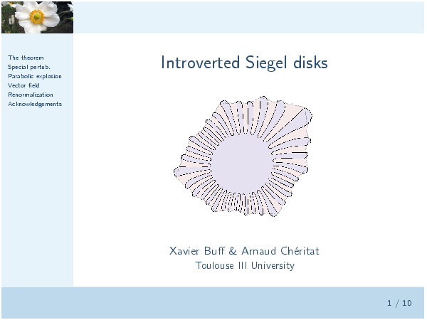 Image of Slide