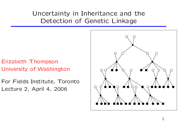 Image of Slide