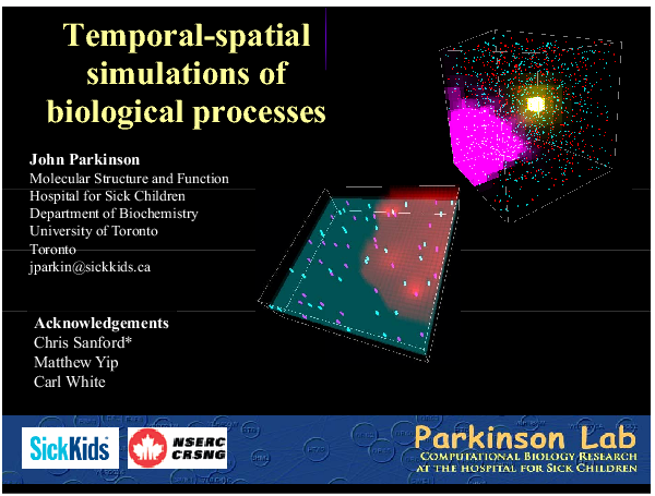 Image of Slide