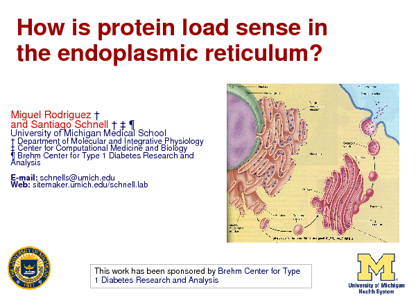 Image of Slide