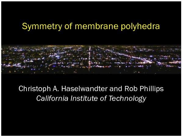 Image of Slide