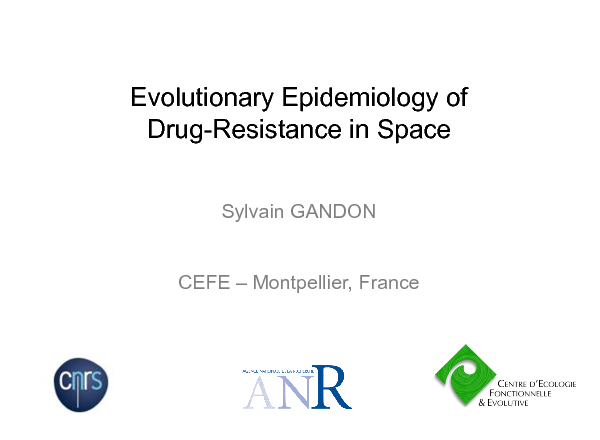 Image of Slide