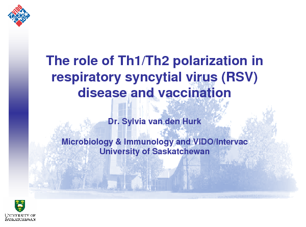 Image of Slide