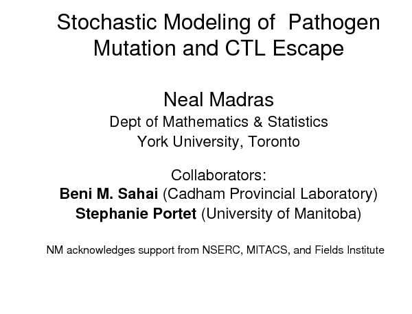 Image of Slide