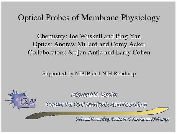 Image of Slide