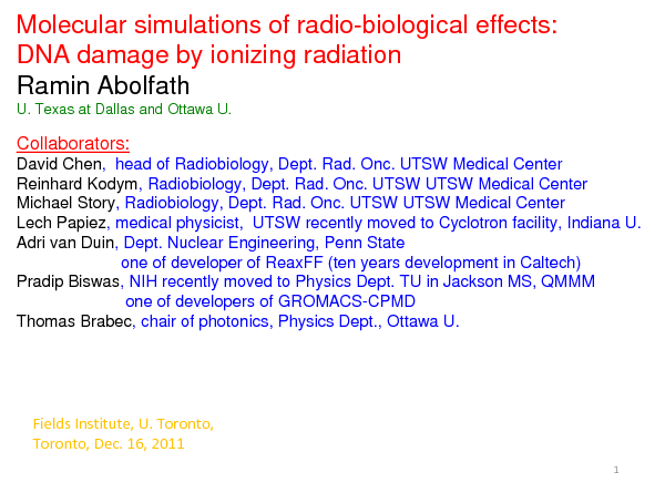 Image of Slide